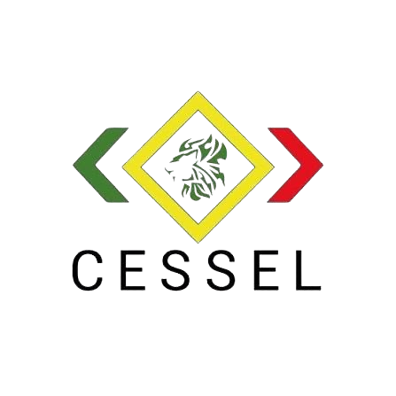 Étudiants sénégalais Lyon